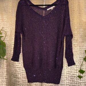 Boston Proper Purple Sequin V-Neck Knit Sweater | Size Medium